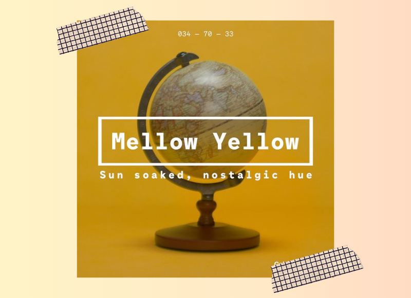 As cores para 2020 - Mellow Yellow - Cantaloupe - Cassis - Purist Blue - Neo Mint